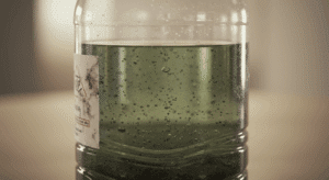 أمراض ستحميك منها فلاتر المياه