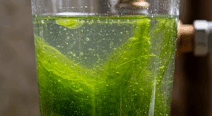 فوائد و مميزات الفلتر الجامبو